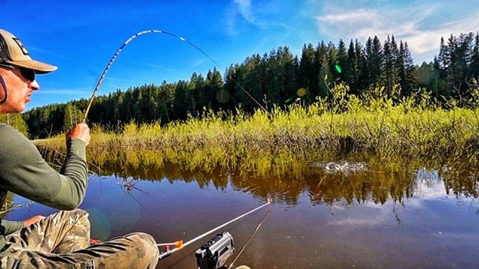 РЫБАЛКА НА ПОПЛАВОК В ЗАТОПЛЕННЫХ КУСТАХ. ХЕРАБУНА