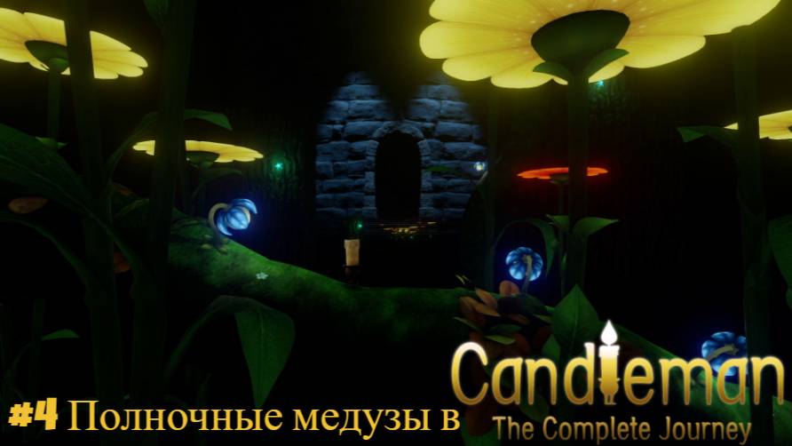 #4 Полночные медузы в Candleman