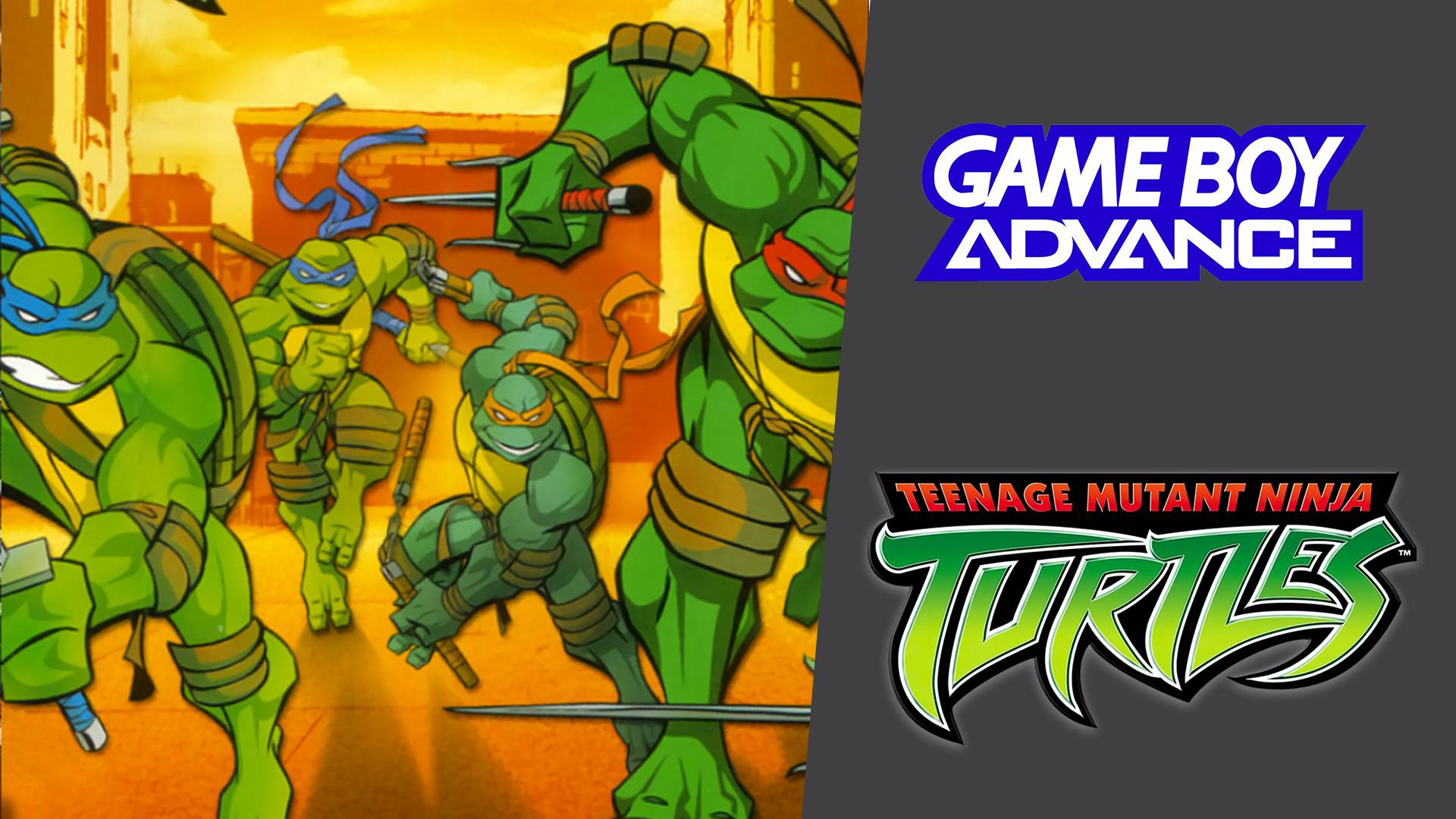 Teenage Mutant Ninja Turtles (GBA)