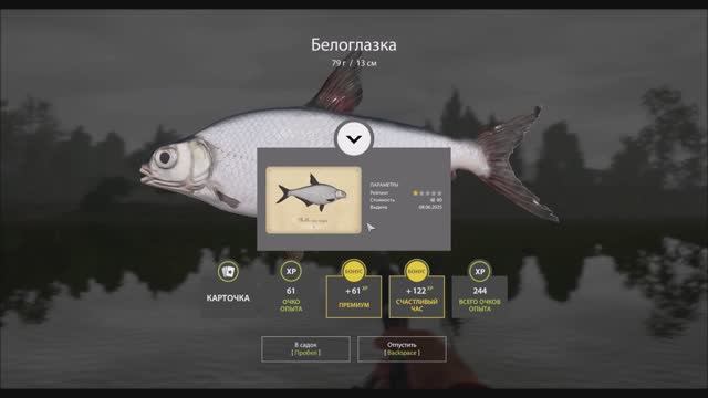 Рыбы с карточками в игре Русская рыбалка 4, фидерная коллекция, Белоглазка