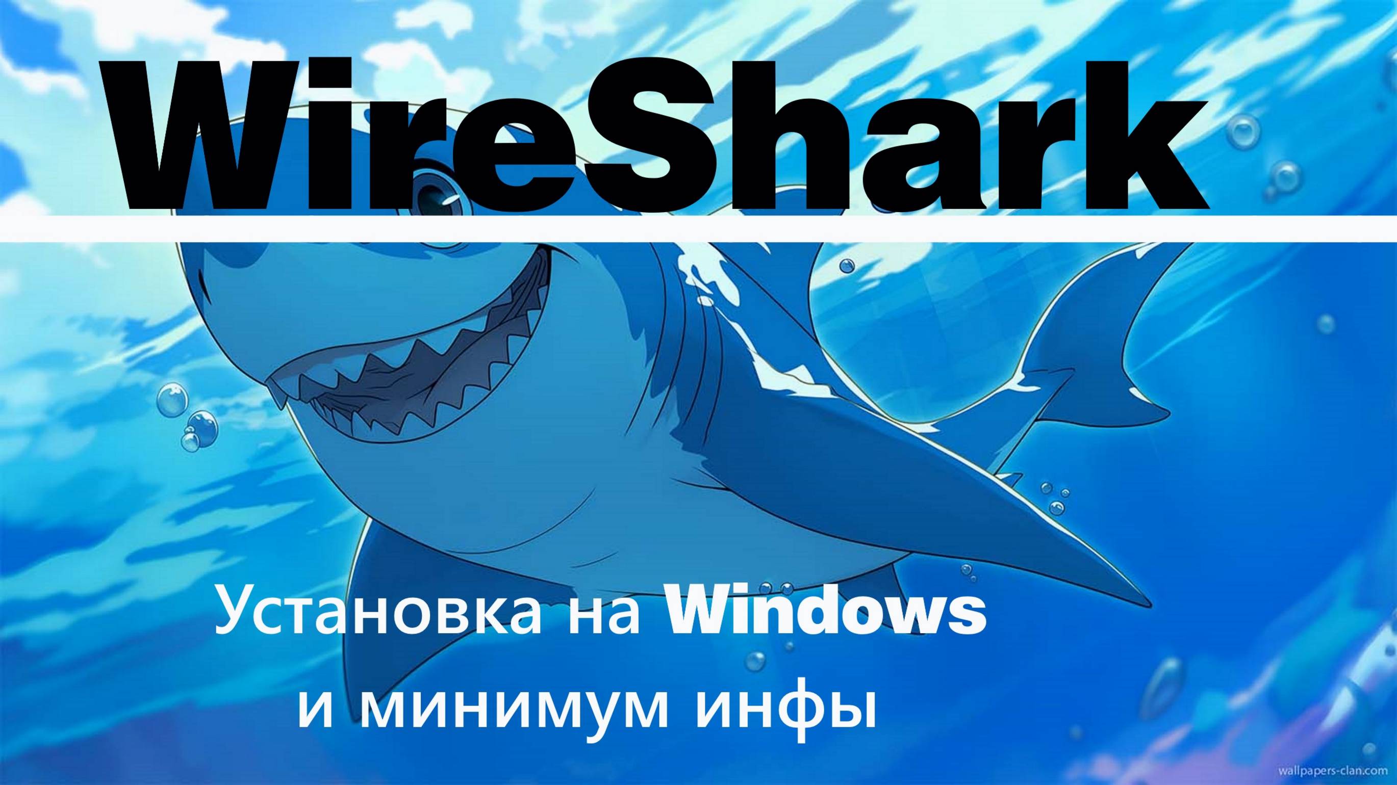 [Гайд] Установка WIRESHARK  на WIndows [Подробно]