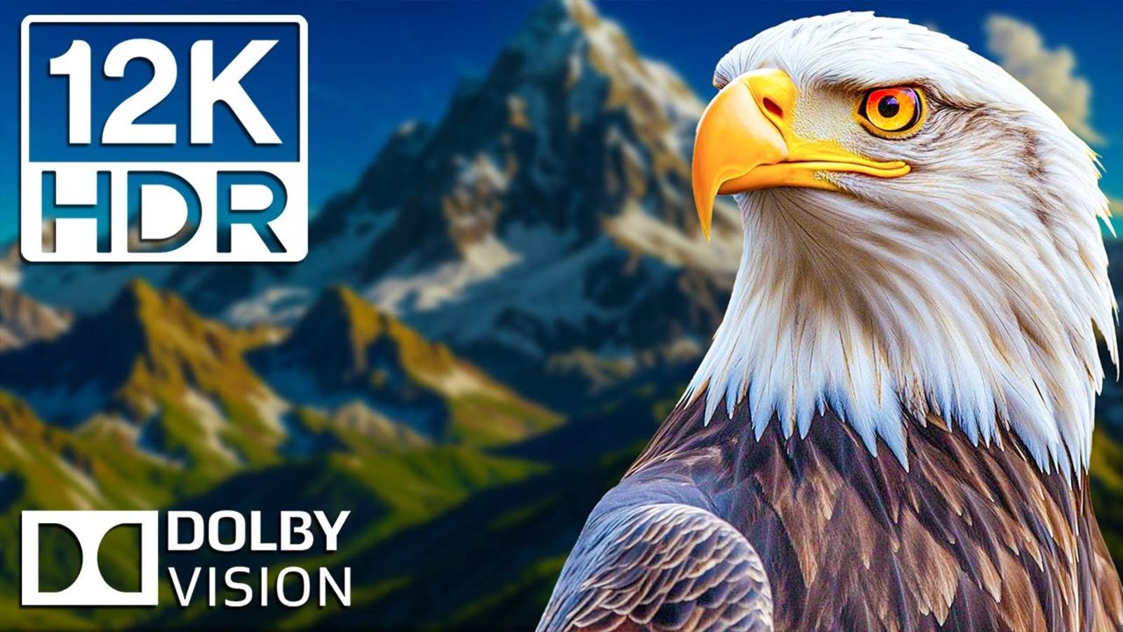 Невероятные дикие животные в кинематографической музыке в разрешении 12K HDR и потрясающие моменты