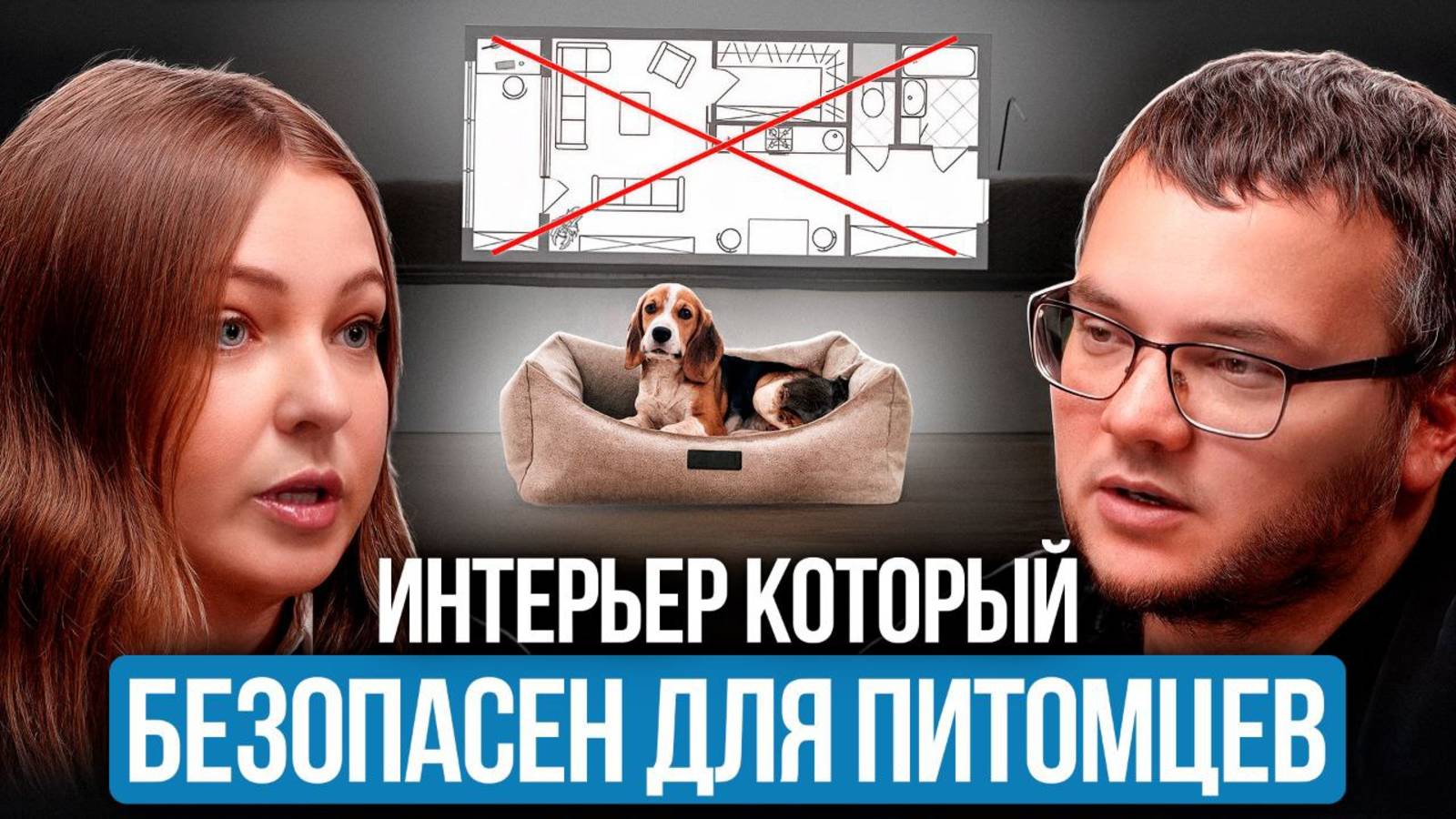 СЧАСТЛИВЫЙ Питомец, СПОКОЙНЫЙ Хозяин: Интерьер, который Любят ВСЕ! (Советы ЗООПСИХОЛОГА)