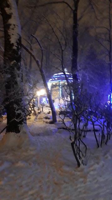 Новогодний Владикавказ 2019. Зима в городе