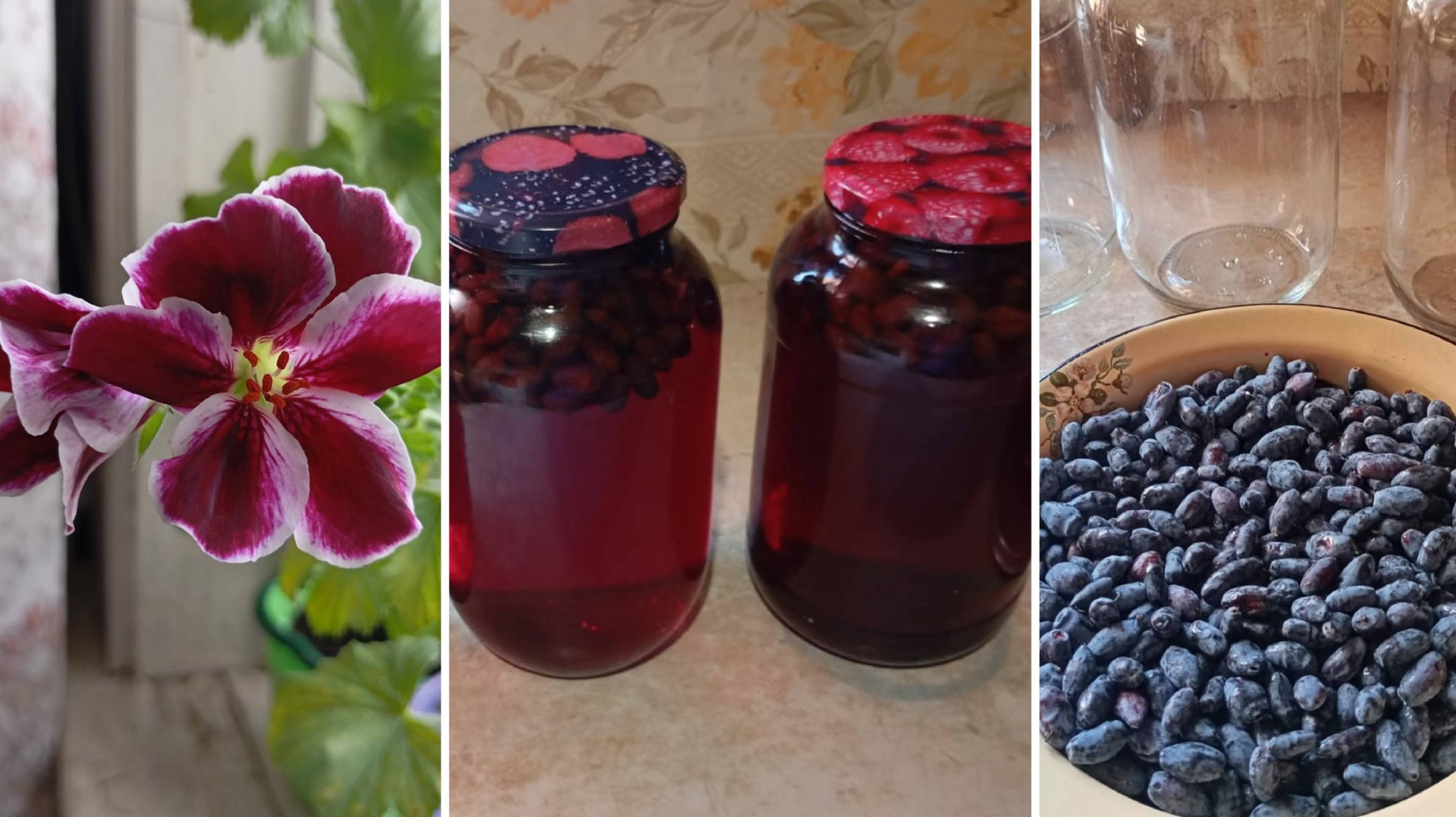 Первые заготовки.  Варю компот