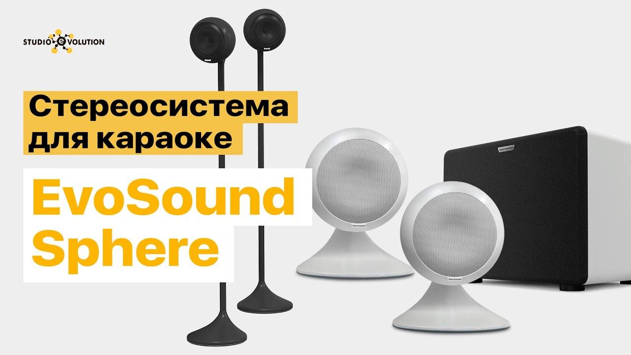 Акустика для караоке. Стереосистема EvoSound Sphere.