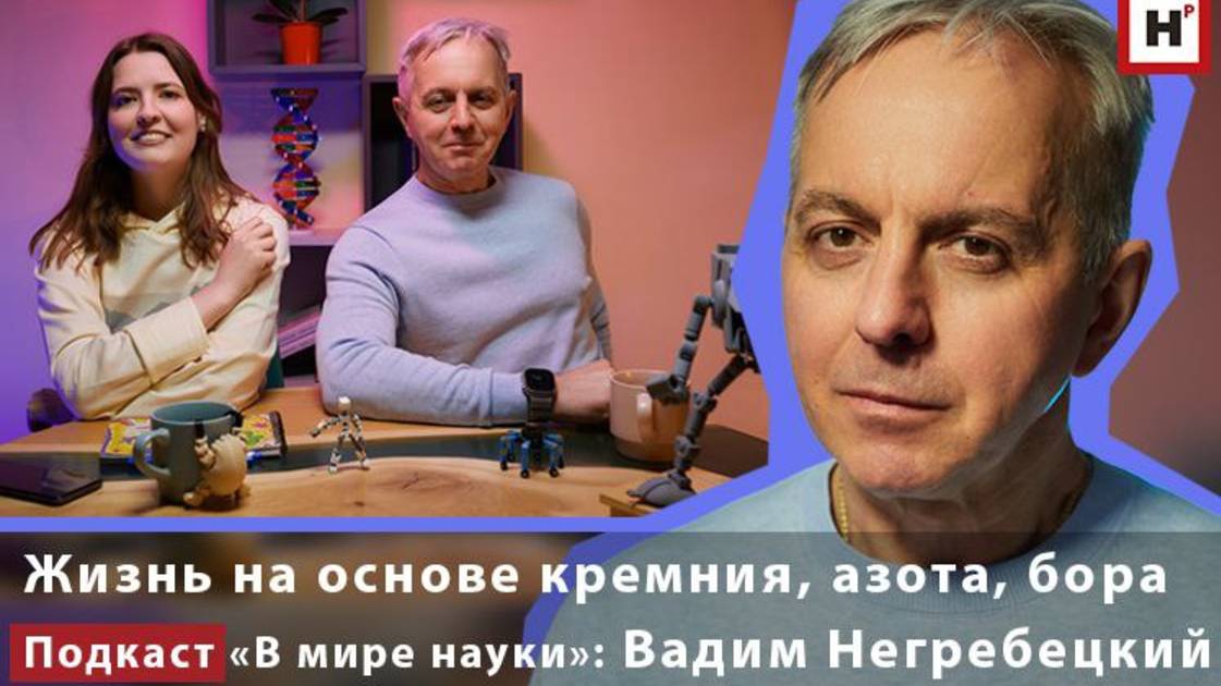 Возможна ли жизнь на основе кремния, азота или бора? Подкаст «В мире науки»: Вадим Негребецкий