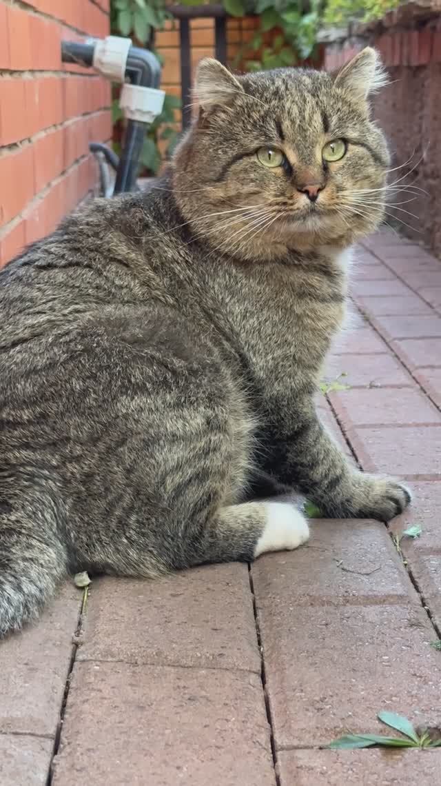 Ты следишь за мной?