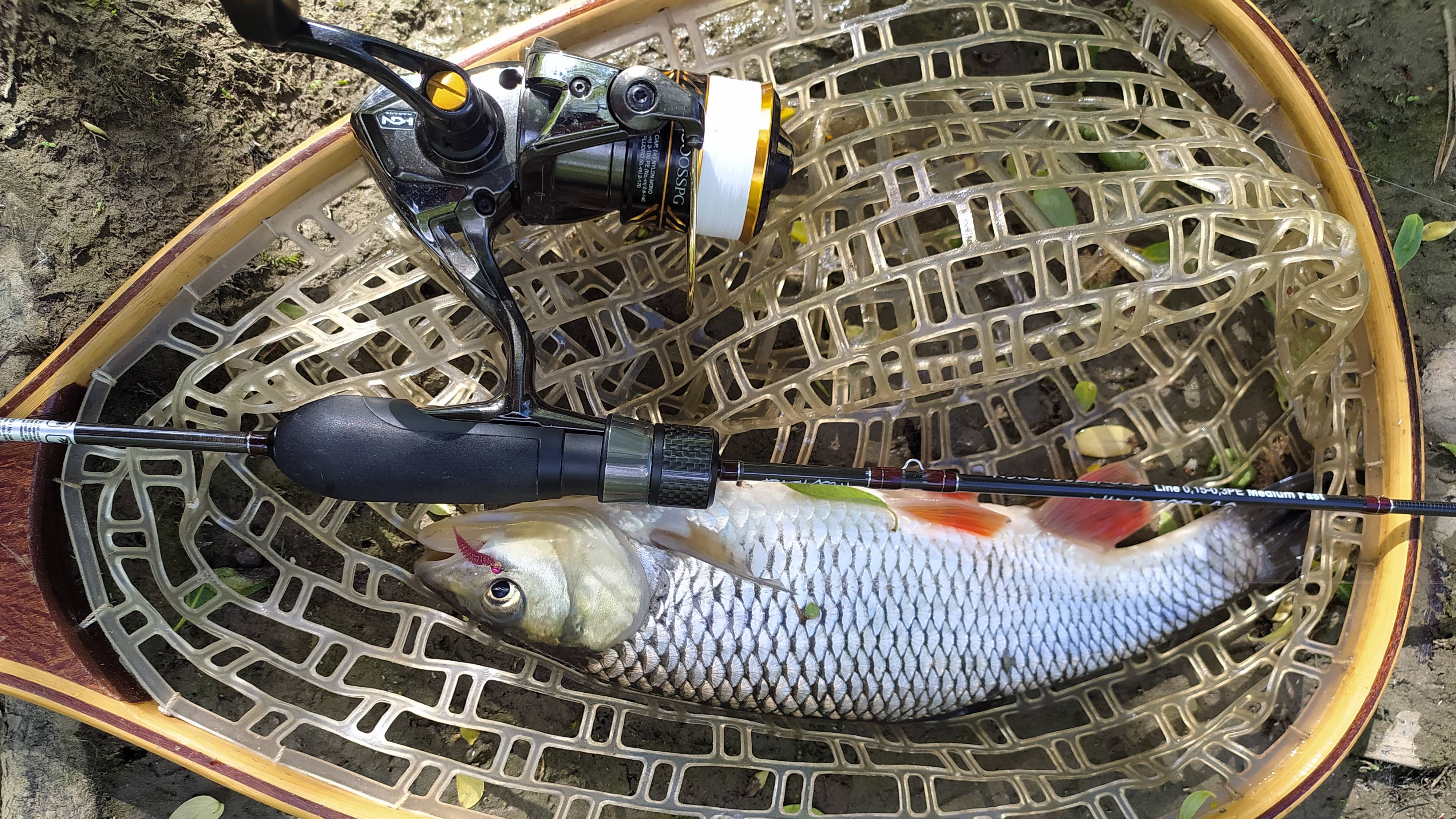 МОРМЫШИНГ. Десна, разведка на Лаптевском переезде