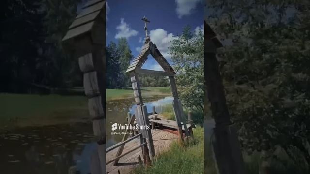 Жизни всей душа Автор песни и стихов Василий Дмитриев #песнядлядуши #песняородине#песняолюбви#shorts