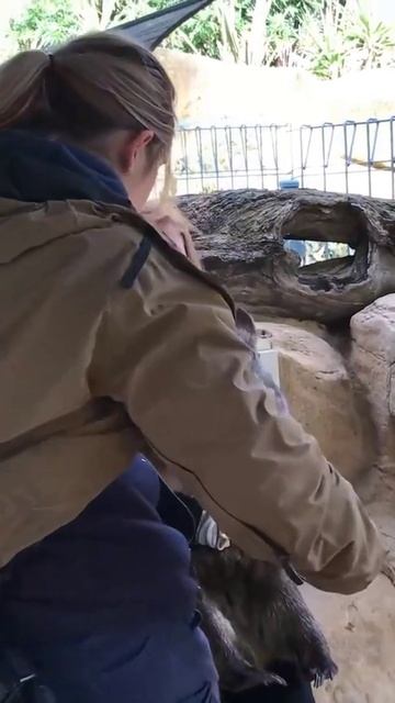 - Это точно белочка? - Канешн, патрушка!