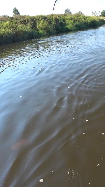 БОЛЬШАЯ ЩУКА НА БОЛЬШУЮ ПРИМАНКУ. Рыбалка на спиннинг