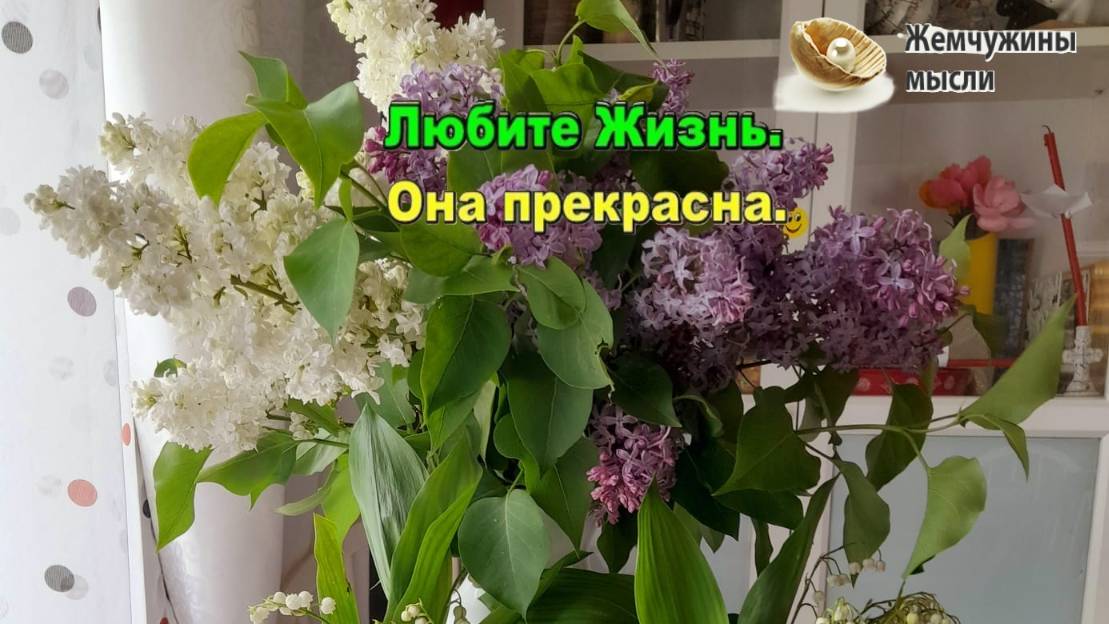 Любите жизнь, а жизнь полюбит Вас.  Диалог с жизнью. #жизнь_прекрасна