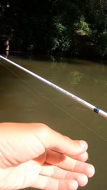 ВОТ ЗА НИМ Я СЮДА ПРИЕХАЛ! Голавль так голавль