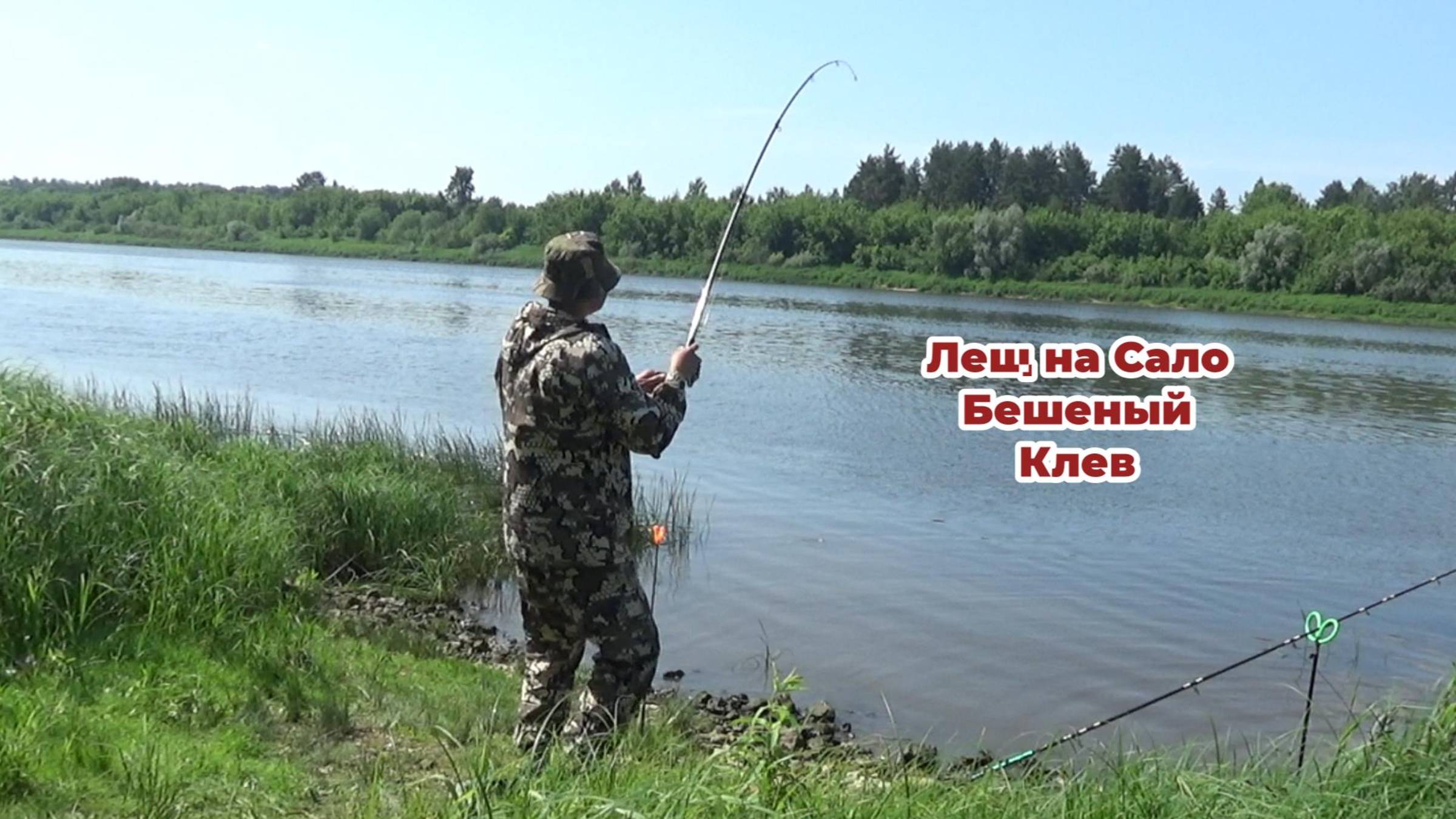 Короткие Поводки на Сильном Течение! Лещ Любит эту Прикормку! Рыбалка на Донки на Оке 2025!
