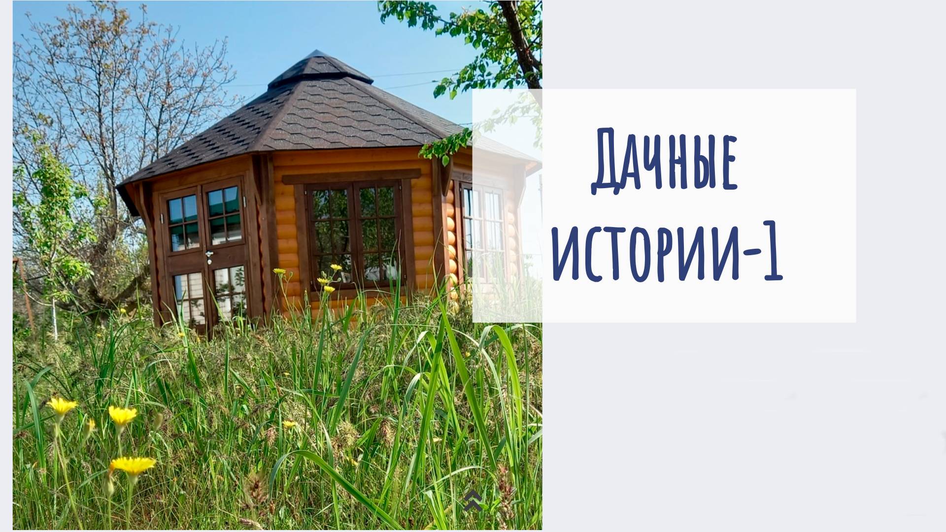 Дачные истории-1. Про аромо палочки, летучую мышь, гнездо шершней, жгут и цветы.