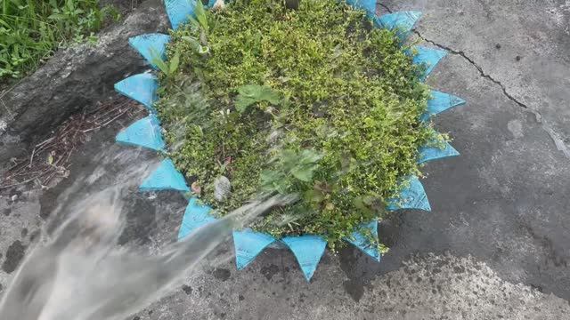 Визит на дачу закончился работой.