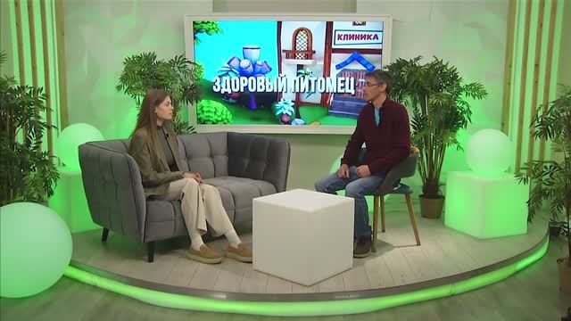 Здоровый питомец, 09.06.2025