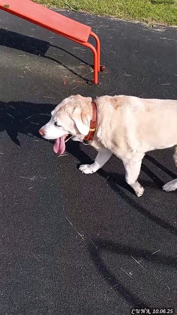 На площадку и спать