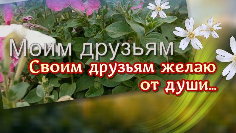 Моим друзьям желаю от души. Песня про друзей