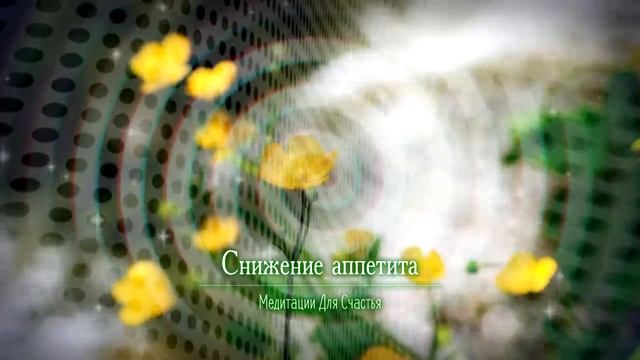 СНИЖЕНИЕ АППЕТИТА*МЕДИТАЦИЯ+САБЛИМИНАЛ