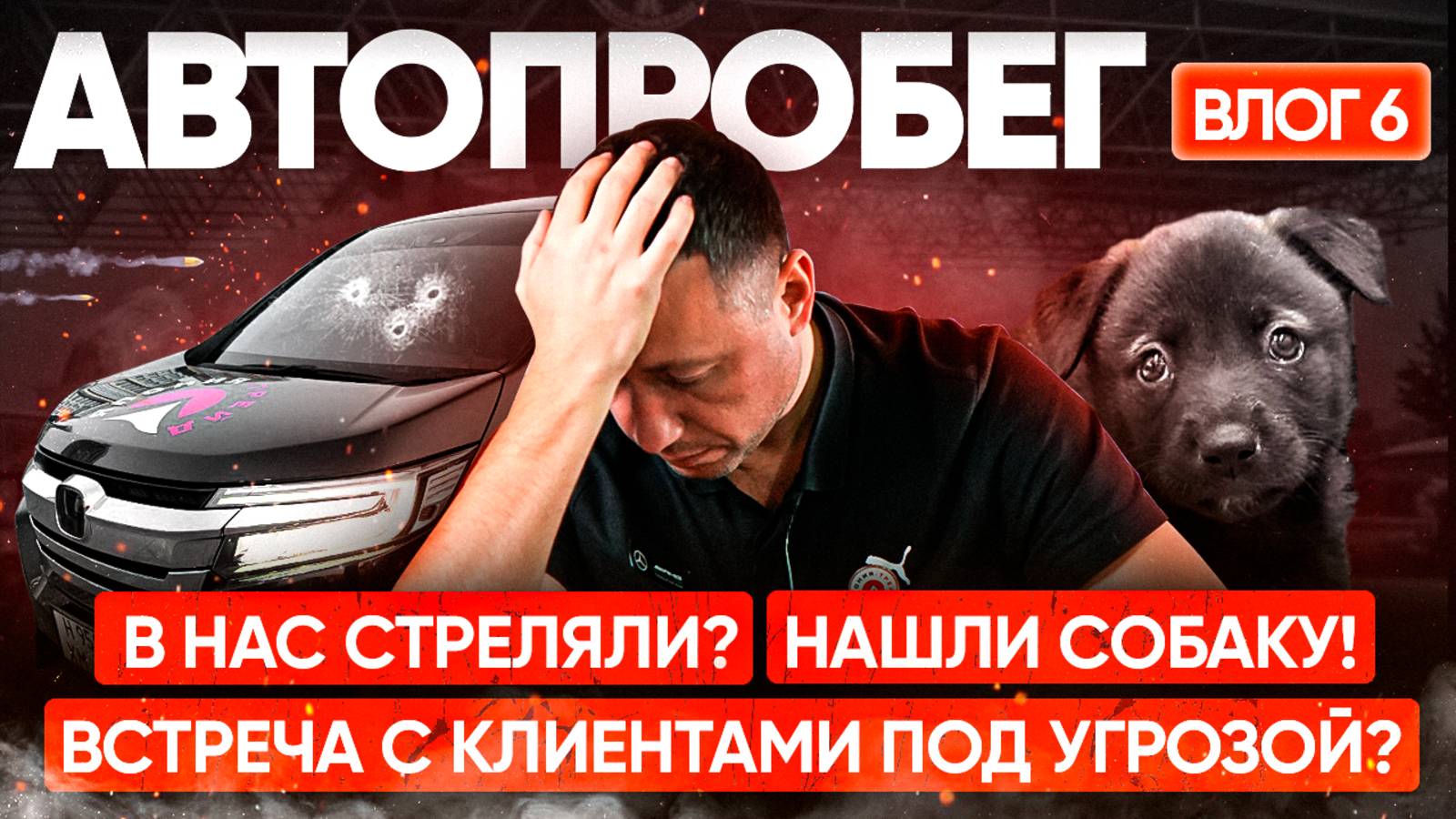 ПРОСТРЕЛИЛИ СТЕКЛО/ СУМАСШЕДШИЕ ФУРЫ/ВСТРЕЧИ В КЕМЕРОВО И НОВОСИБИРСКЕ/ВЛОГ#6