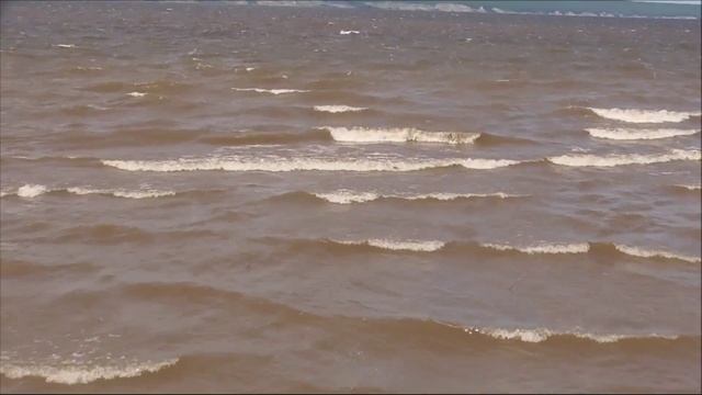 Мой фильм   Ульяновская область, Старая майна, залив. 2025 год