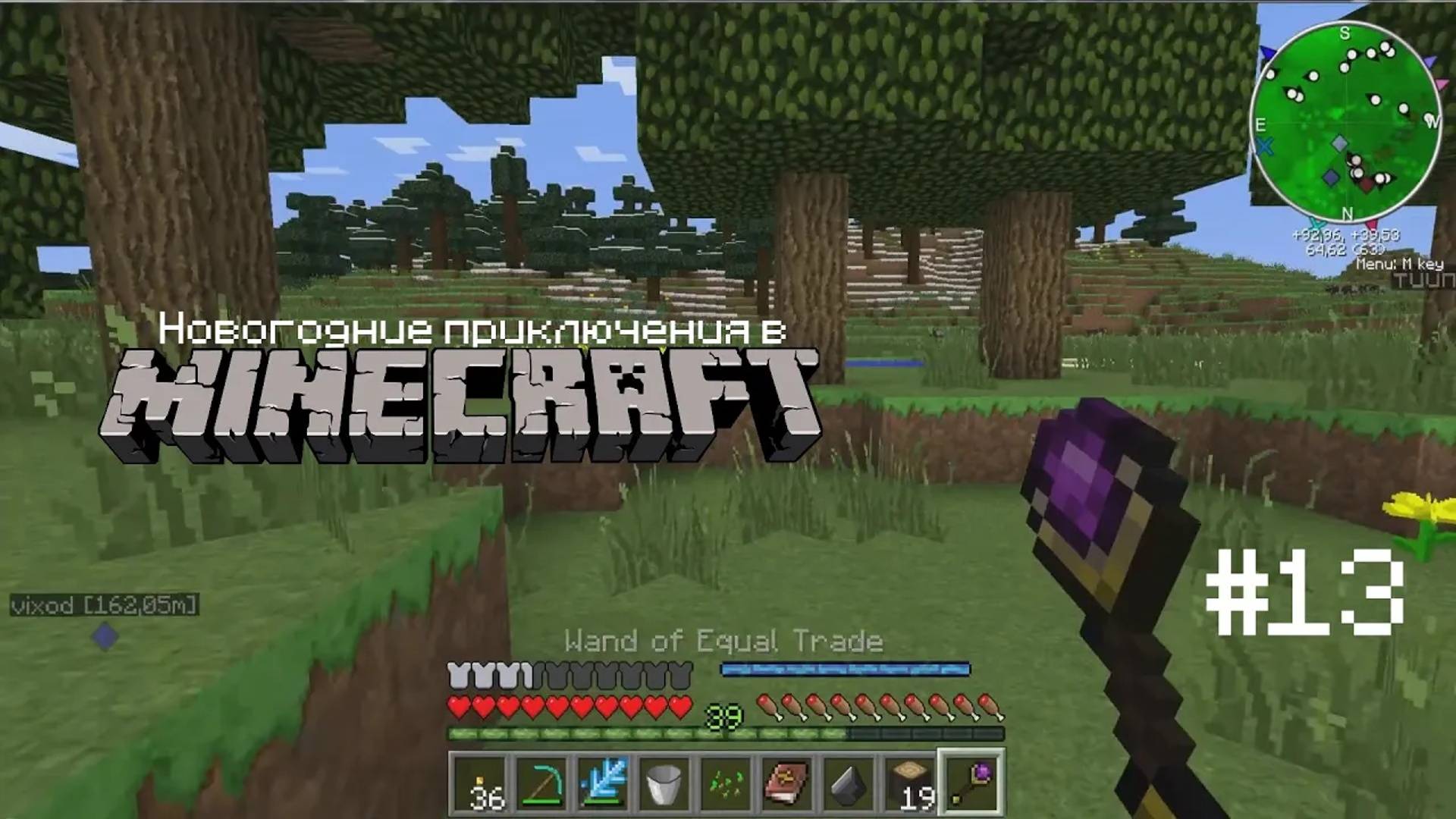 Новогодние приключения #13 (Для чего этот посох?)