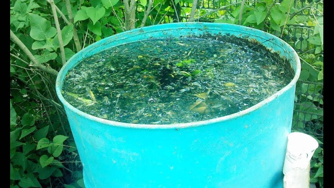 Как избавиться от травы и сорников За 3 Секунды!!!!!.!!!.!!!!!