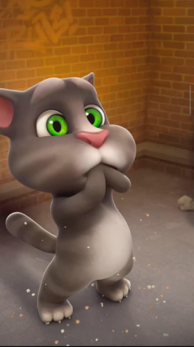 Говорящий ТОМ и бутерброд