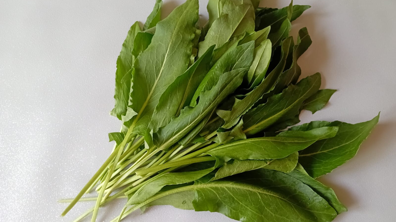 ОБАЛДЕННЫЙ СУП с ЩАВЕЛЕМ и ЯЙЦОМ