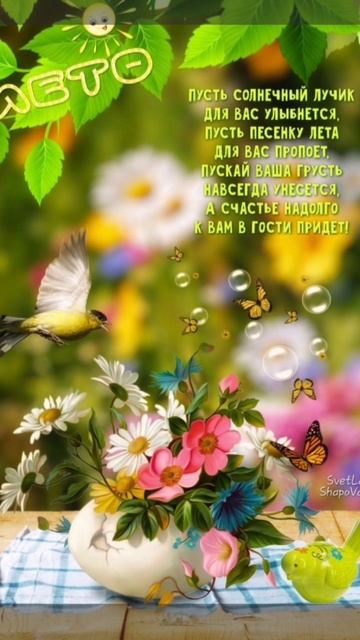 Здравствуй,новый день!