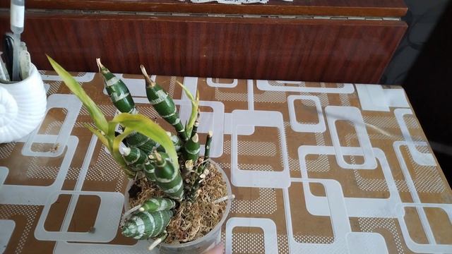 Распаковка посылки. 💞