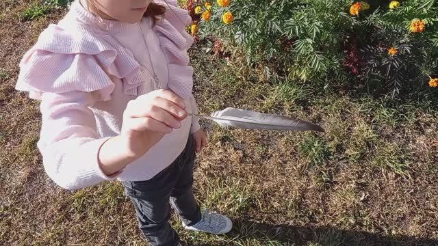 Пропеллер из пера...