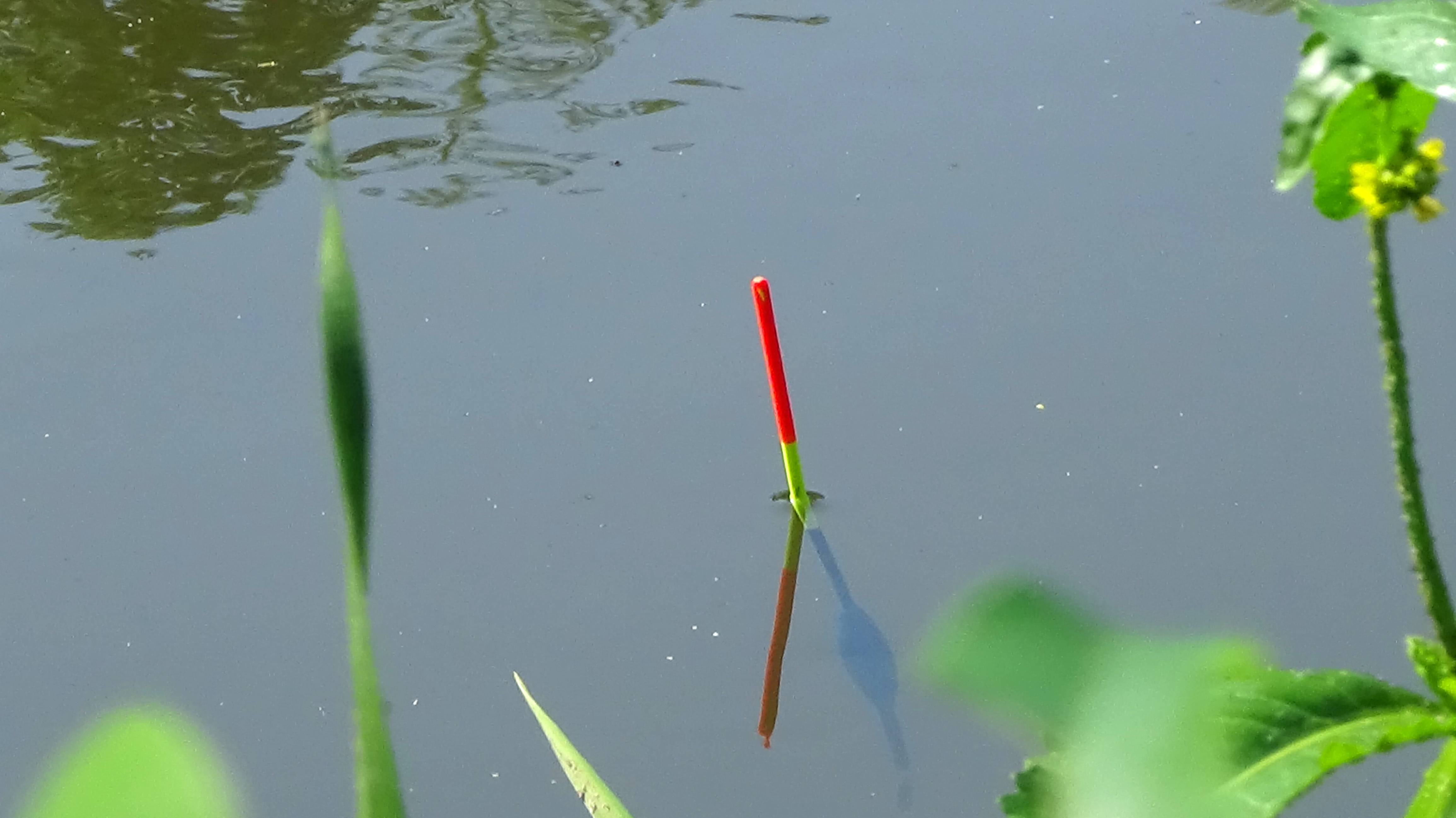 Рыбалка 9 июня на поплавок на малой реке - красота! И рыба есть