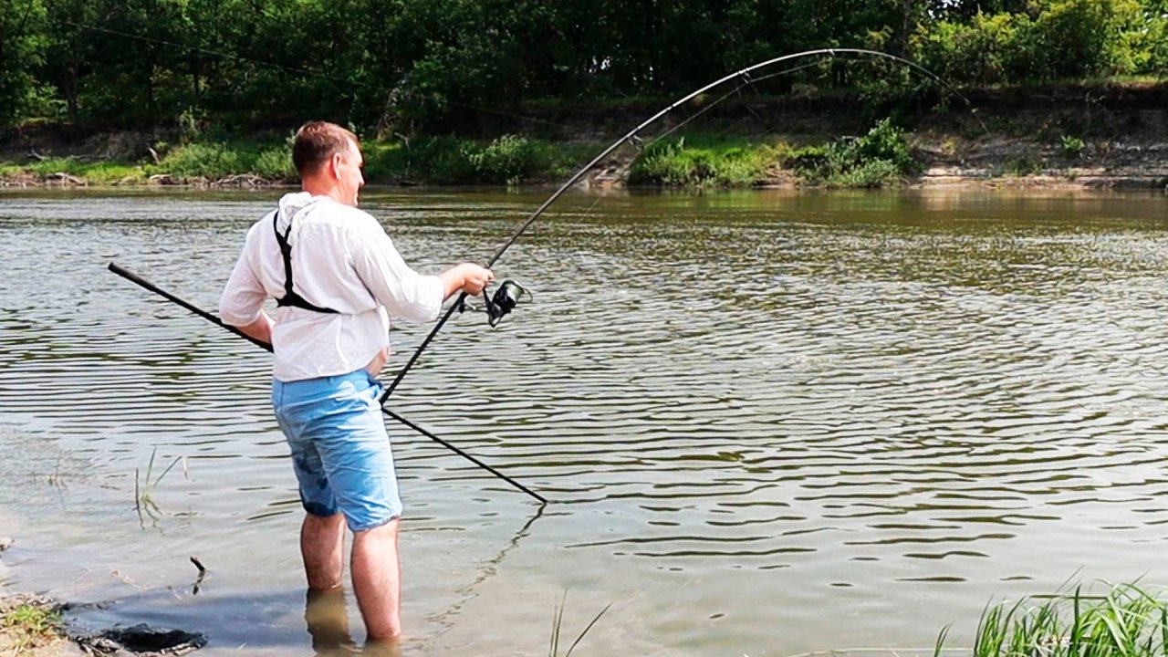 Рыбалка на Хопре! Дикий Белый Амур и Сазан!