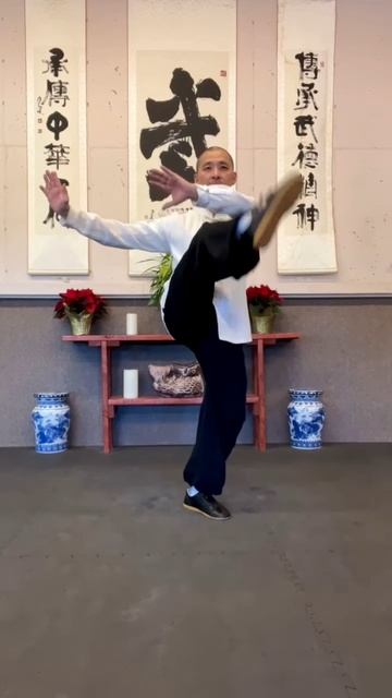 Чен ЦзяньФэн Тайцзи внешний удар ногой разными способами