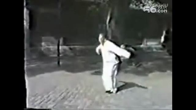 Ван Пэйшен Тайцзи шисань дань