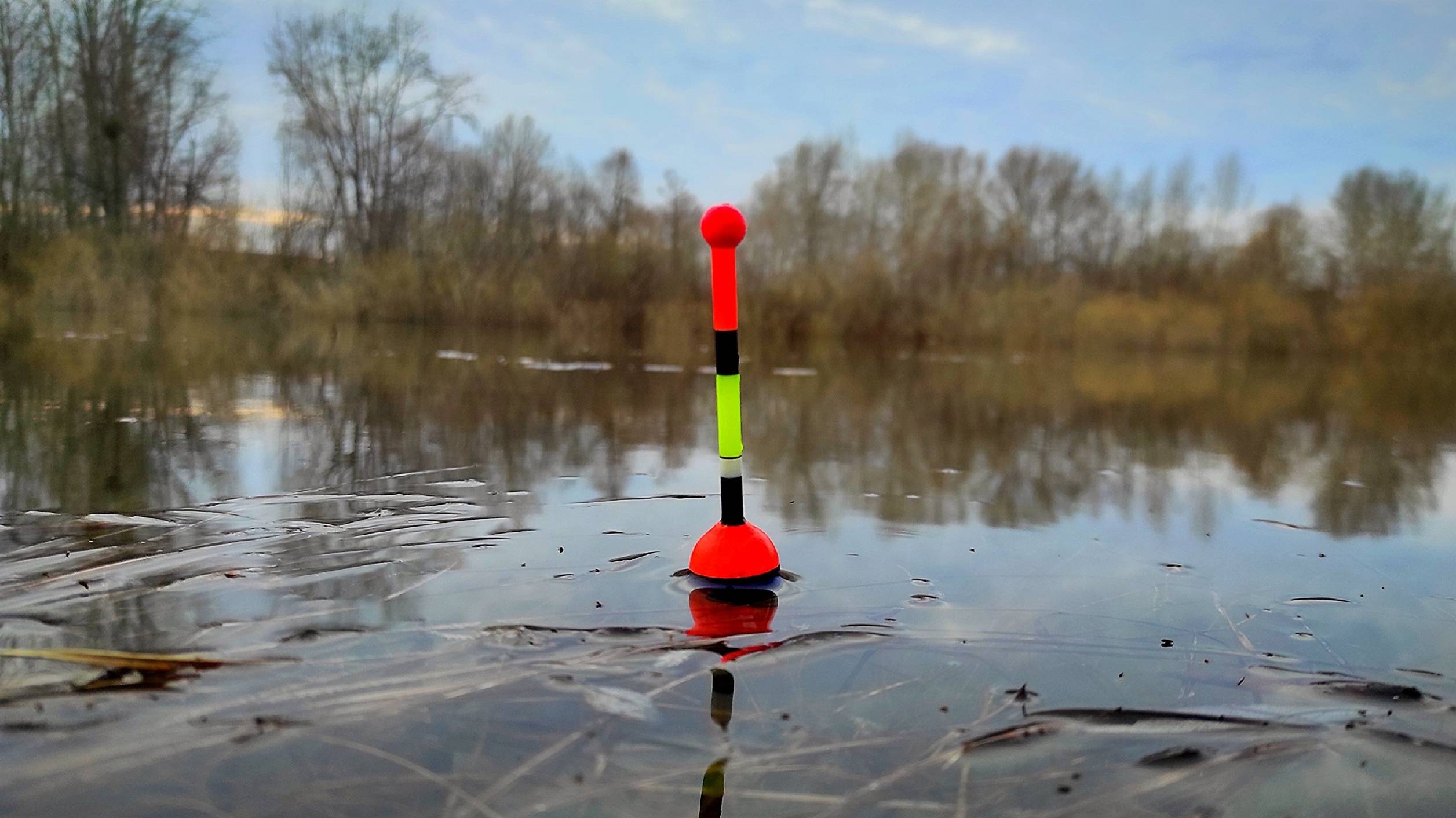 НАЛОВИЛ КАКОЙ-ТО УЖАС! Ехал за плотвой но ВЫШЛО ОНО! Рыбалка на поплавок 2025