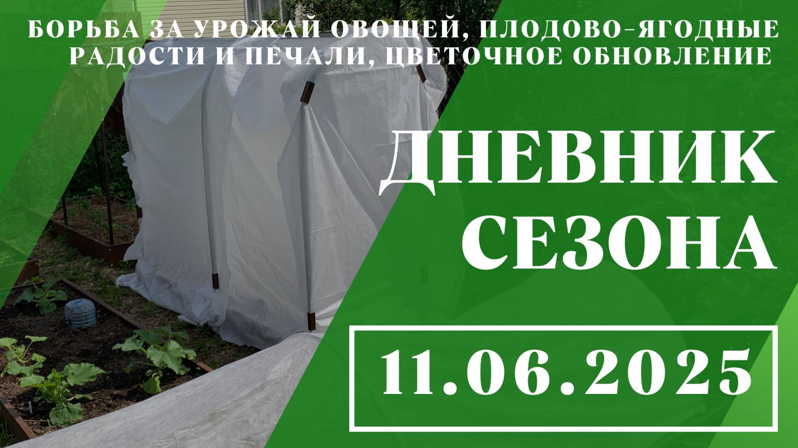 Борьба за урожай овощей, плодово-ягодные радости и печали, цветочное обновление // 11.06.2025