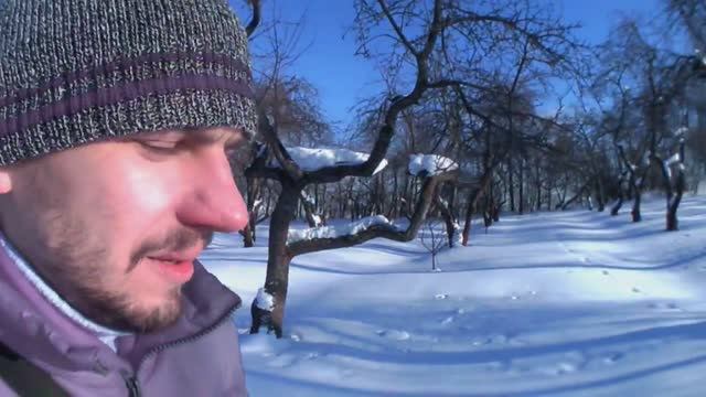 МИНИ ВЛОГ ГУЛЯЮ В ЗИМНЕМ ЯБЛОЧНОМ САДУ 27.02.2018