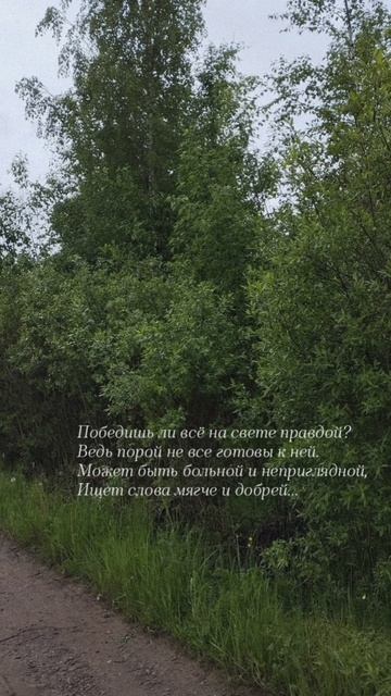 11.06.25 АЗ #ниднябезрифмы