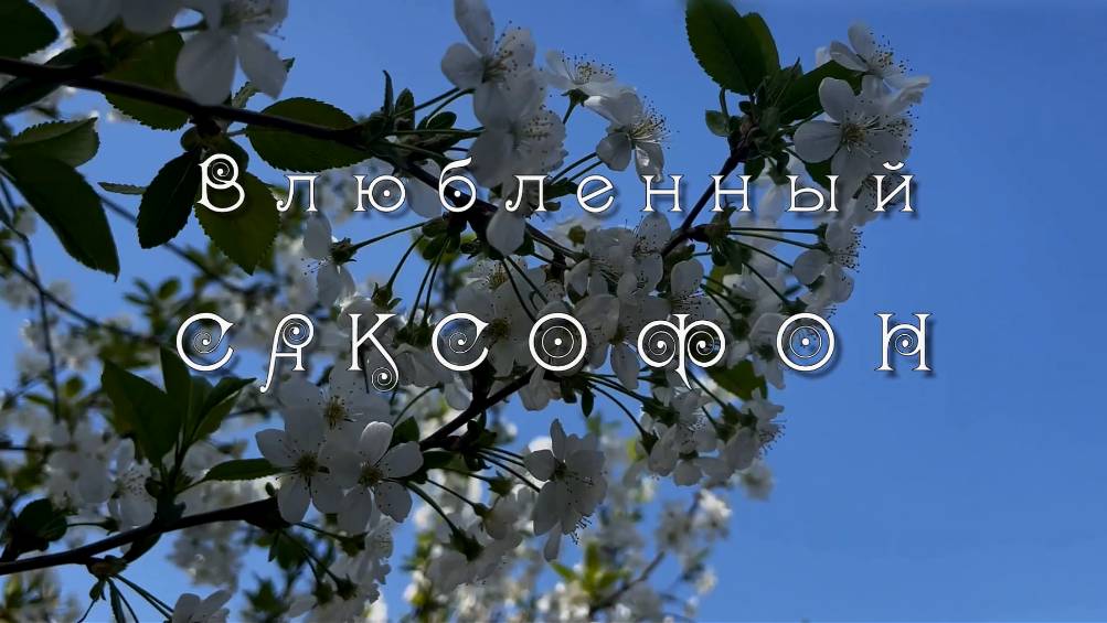 Влюбленный саксофон Андрей Обидин. Музыка для души