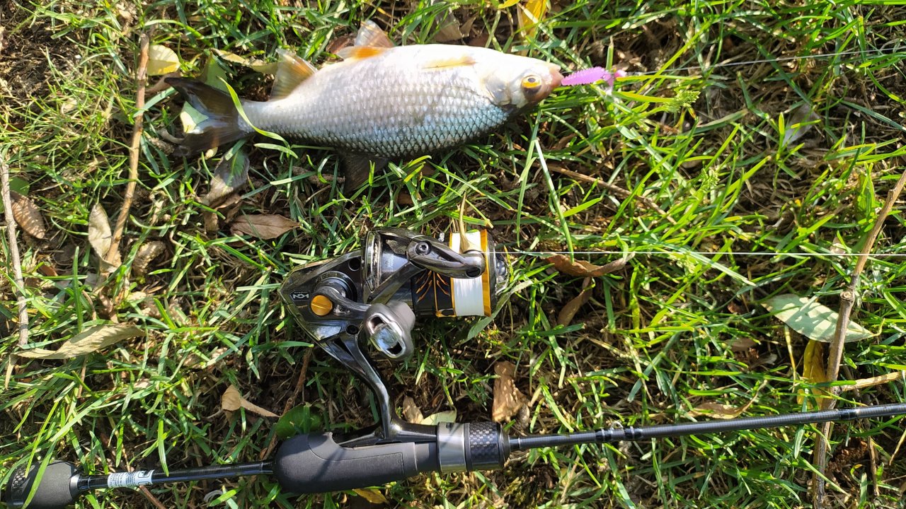 Домашняя микро-речка. Новый Силикон