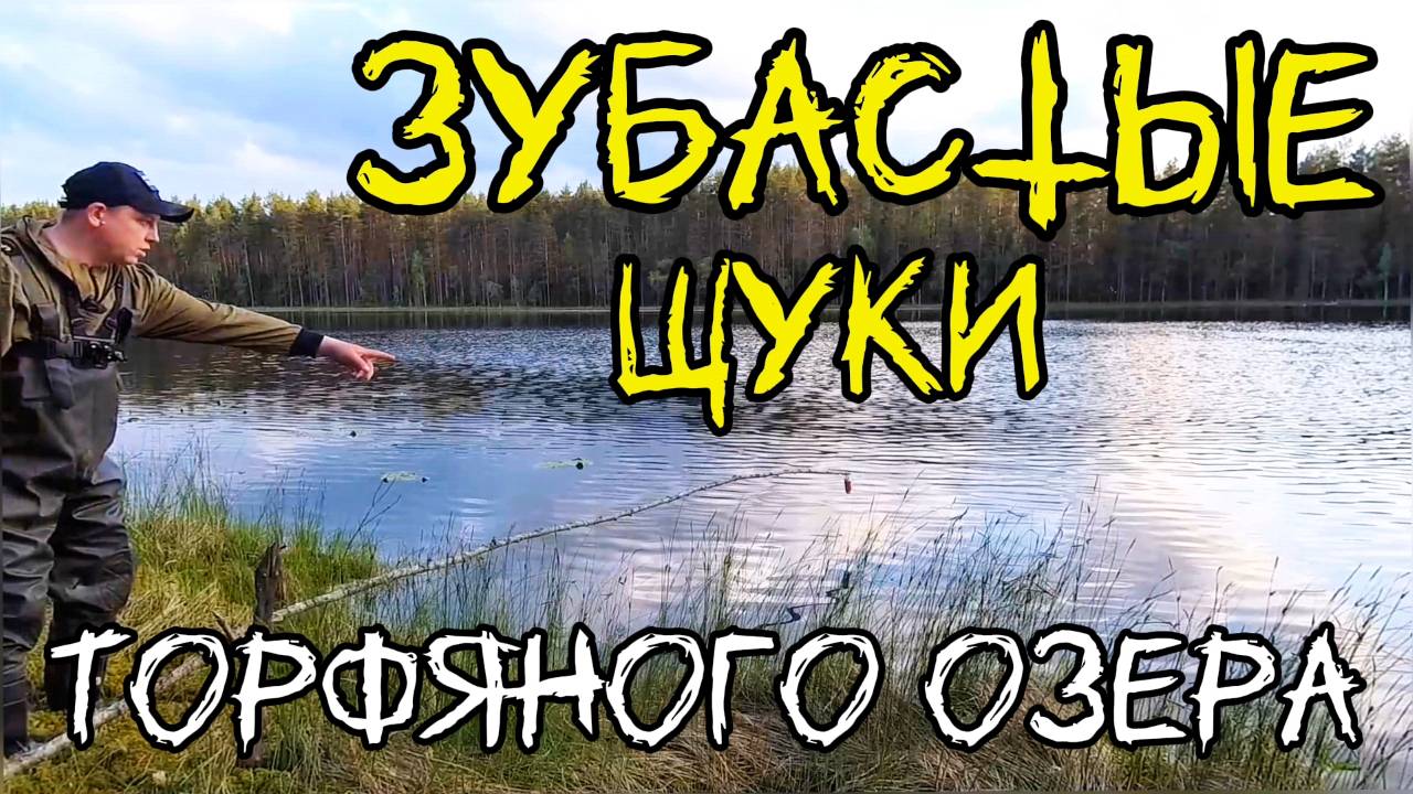 Как легко поймать щуку. Зубастые щуки торфяного озера.