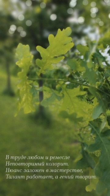 12.06.25 АЗ #ниднябезрифмы