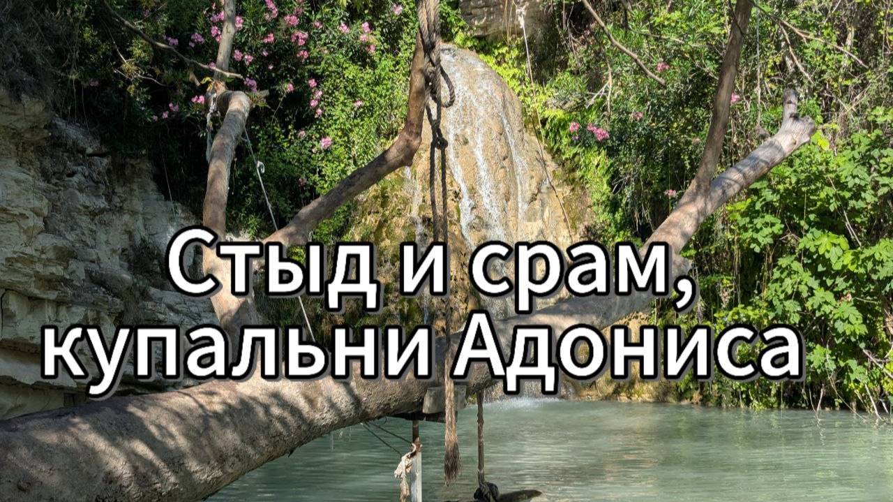 Стыд и срам, хоть и не смотри!