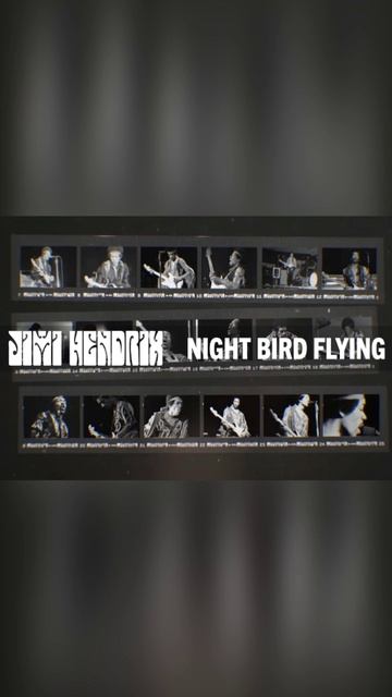 JIMI HENDRIX / Night Bird Flying #shorts #jimihendrix #classicrock