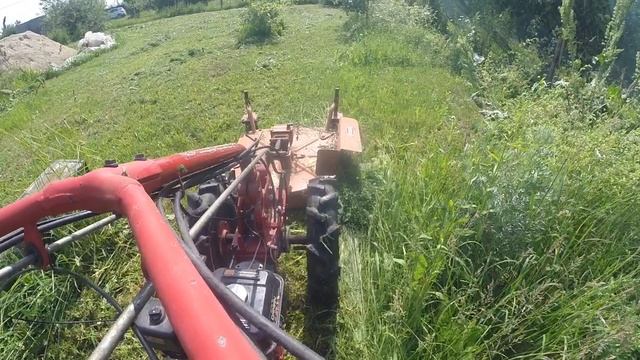 Бурьян и роторная косилка Гольдони