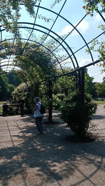 Лондон, Гайд Парк, Розарий, арочная аллея